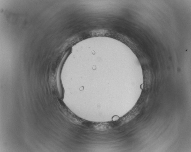 X0000068730761200605262025