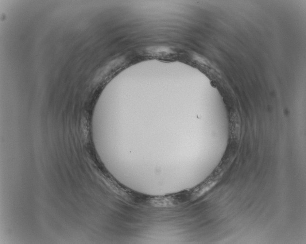 X0000068730762200605262025