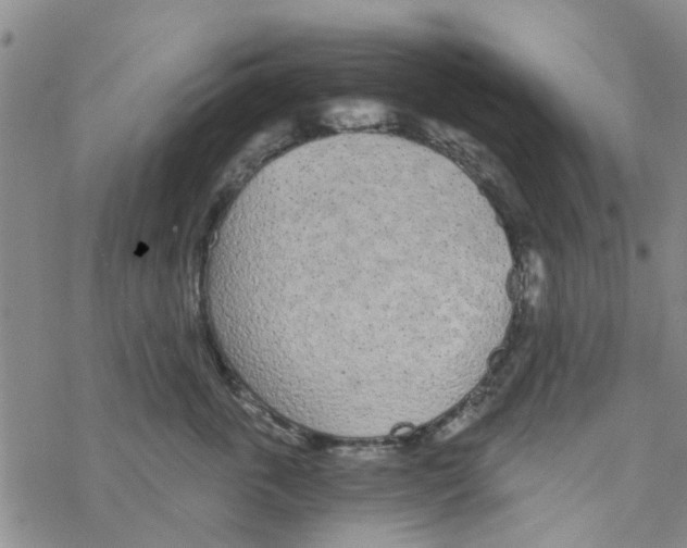 X0000068730763200605262025