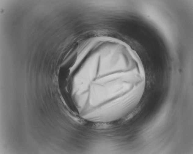 X0000068730766200605262025