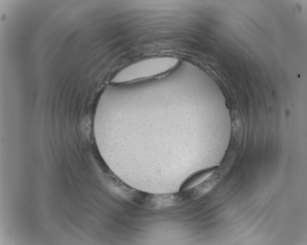 X0000068730767200605262026