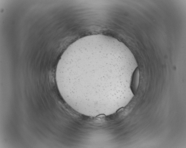 X0000068730768200605262026