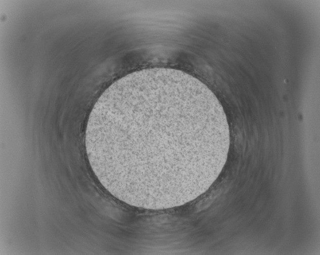 X0000068730769200605262025