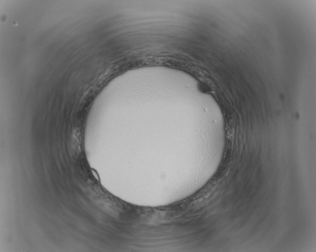 X0000068730772200605262025