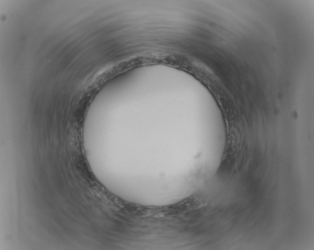 X0000068730773200605262025