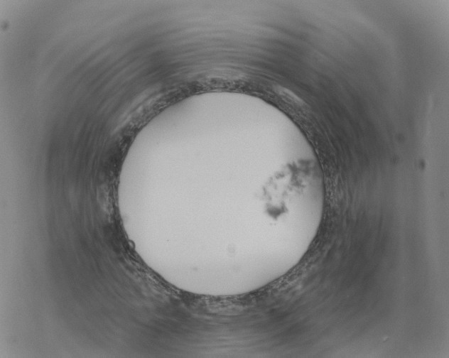 X0000068730774200605262025