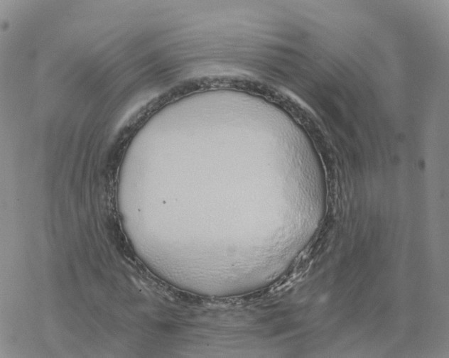 X0000068730775200605262025