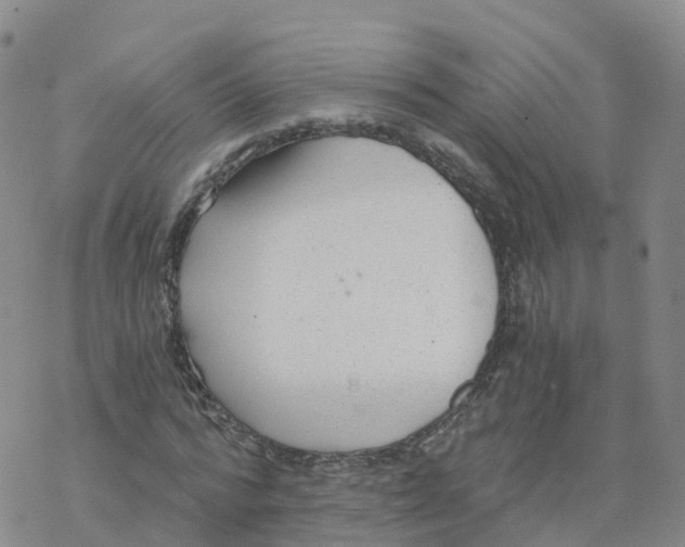 X0000068730776200605262025