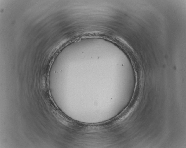 X0000068730777200605262025