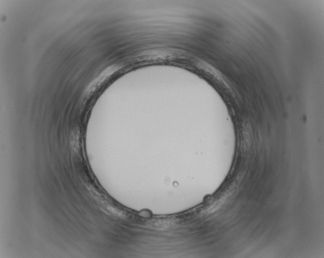 X0000068730778200605262025