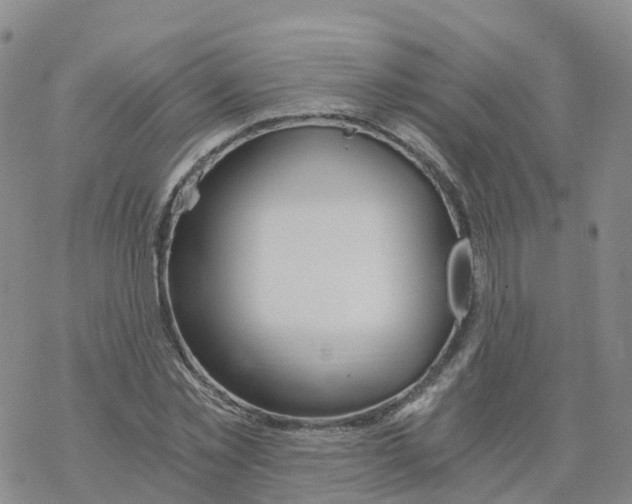 X0000068730781200605262025