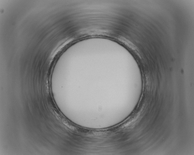 X0000068730782200605262025