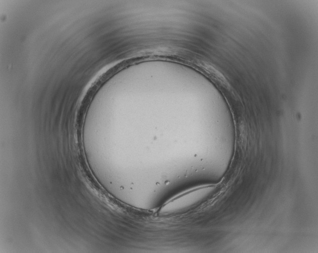 X0000068730784200605262025