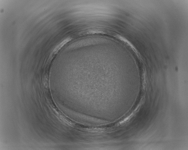 X0000068730785200605262024