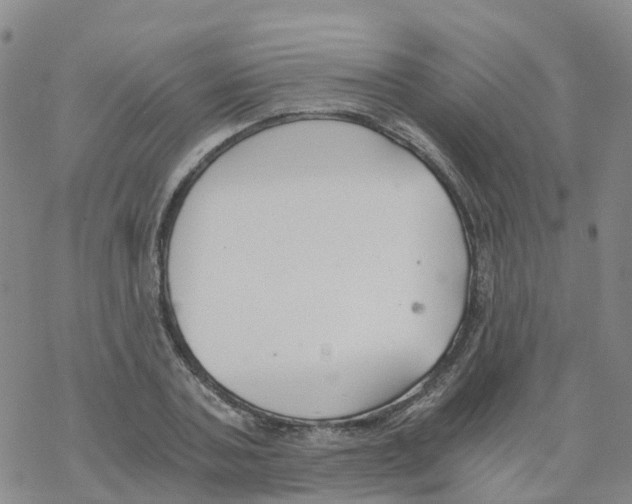 X0000068730787200605262024