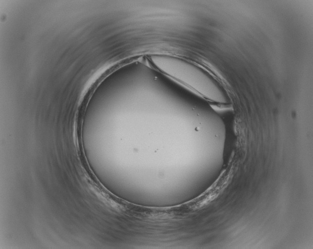 X0000068730788200605262024