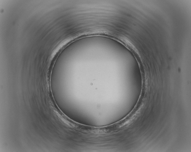 X0000068730789200605262024