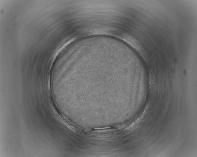 X0000068730790200605262024