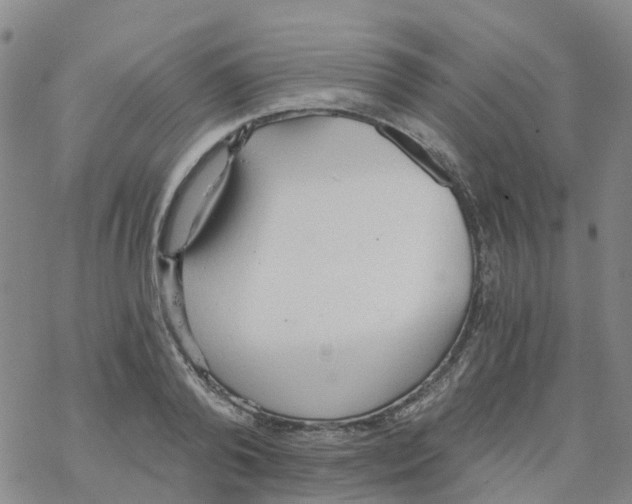 X0000068730792200605262024