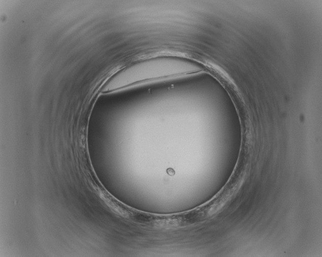 X0000068730793200605262024