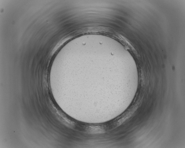 X0000068730794200605262024