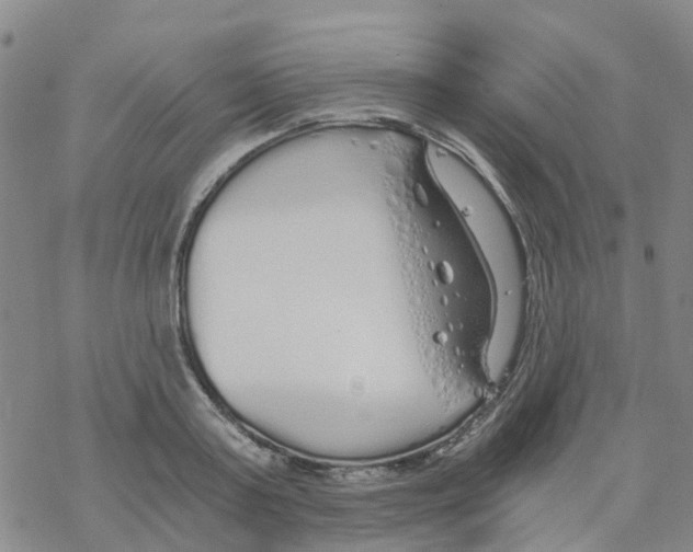 X0000068730795200605262024