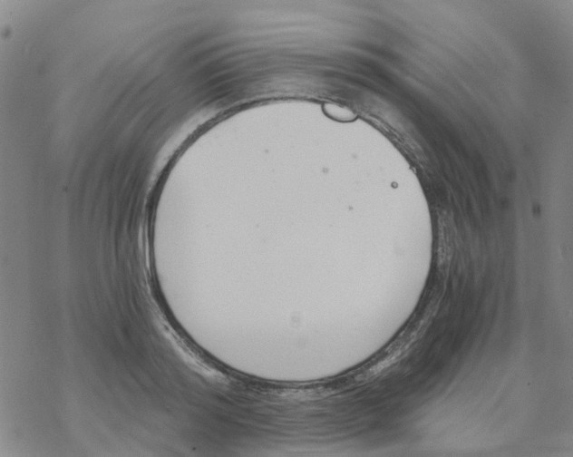 X0000068730796200605262024