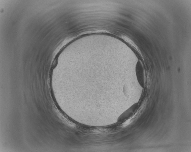 X0000068730797200605262024