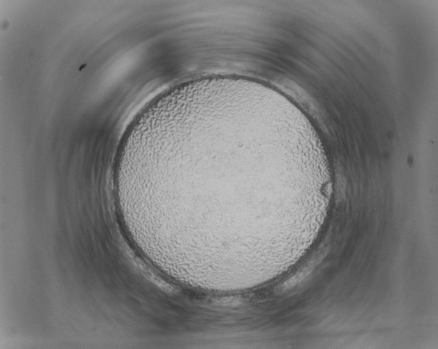 X0000068730798200605262024