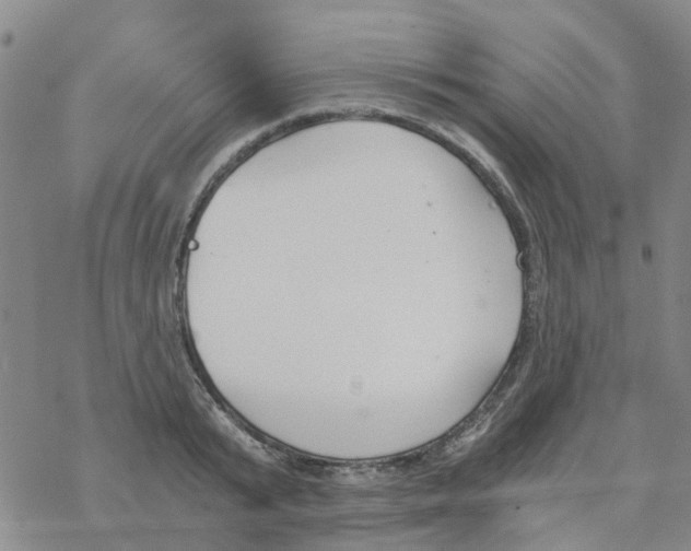 X0000068730799200605262024