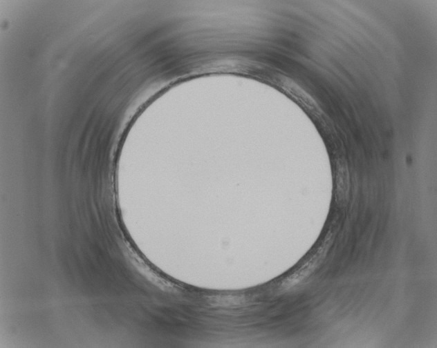 X0000068730800200605262024