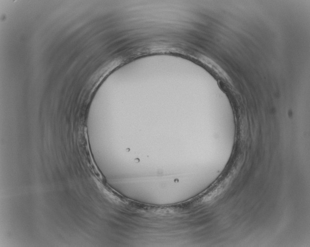 X0000068730801200605262024