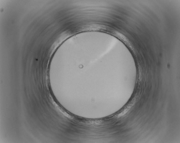 X0000068730802200605262024