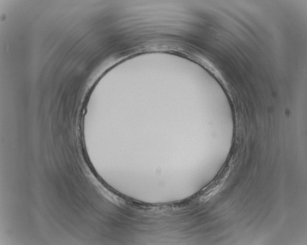 X0000068730803200605262024