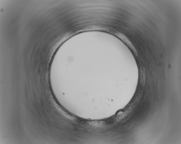 X0000068730805200605262024