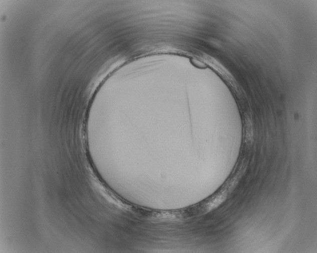 X0000068730806200605262024