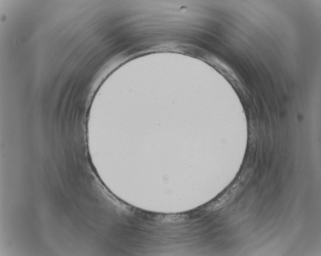 X0000068730808200605262024