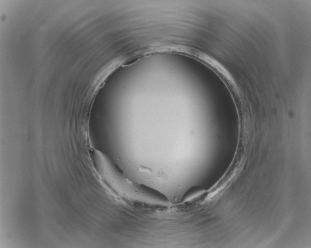 X0000068730809200605262024