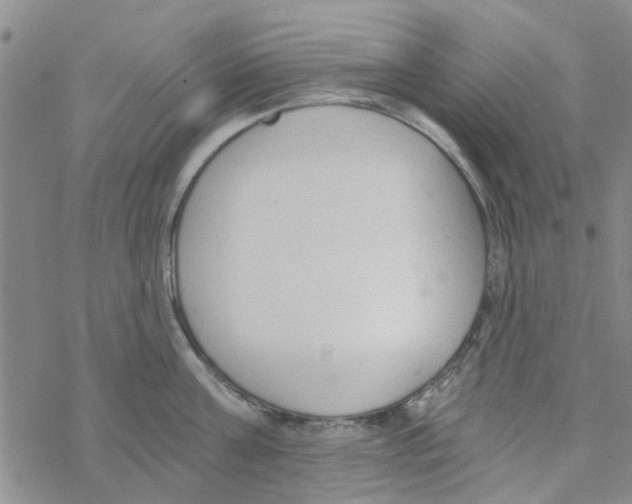 X0000068730811200605262024