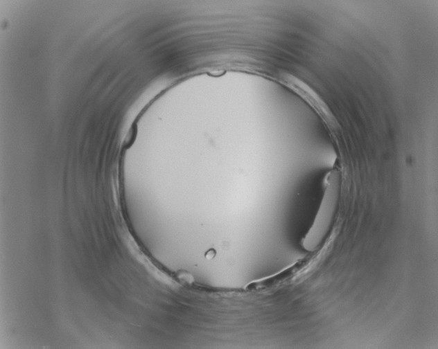 X0000068730812200605262024