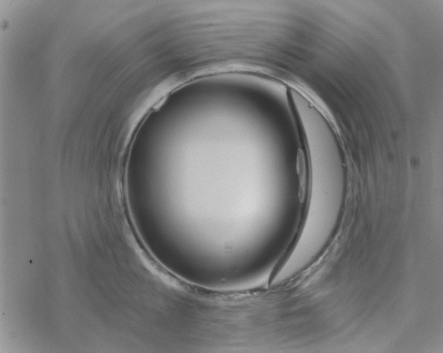 X0000068730813200605262024