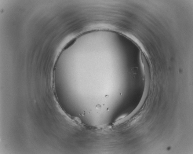 X0000068730815200605262024