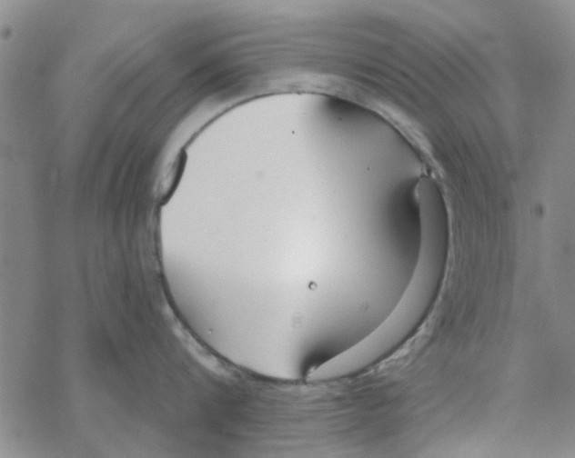 X0000068730816200605262024