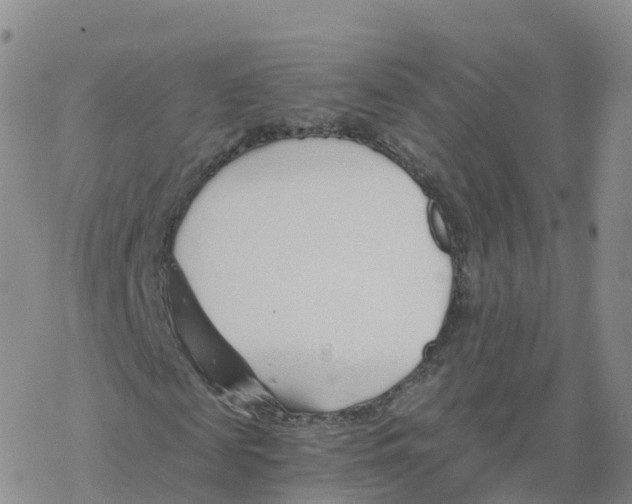 X0000068730817200605262023