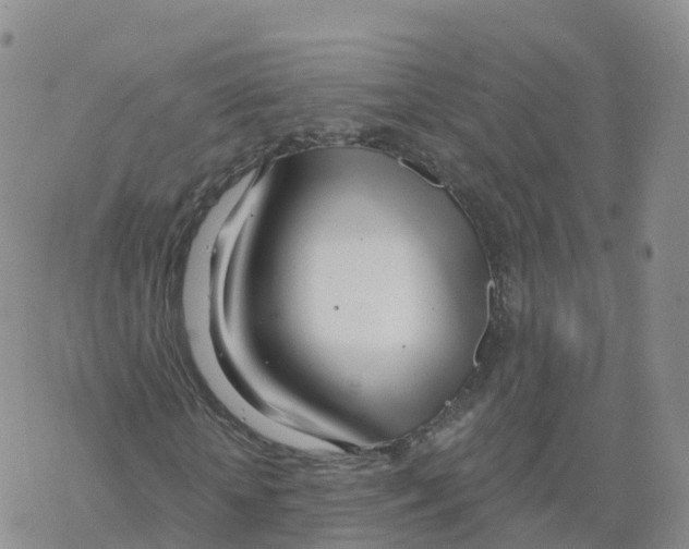 X0000068730818200605262023