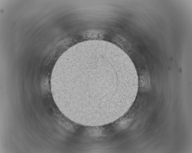 X0000068730820200605262023