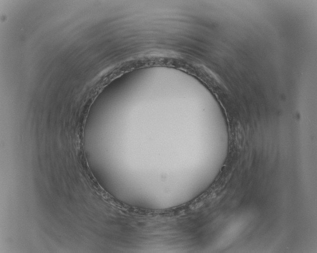 X0000068730821200605262023