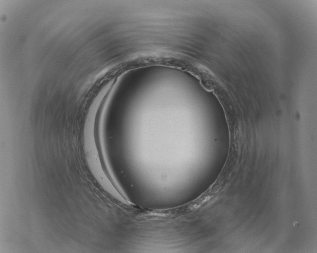 X0000068730822200605262023