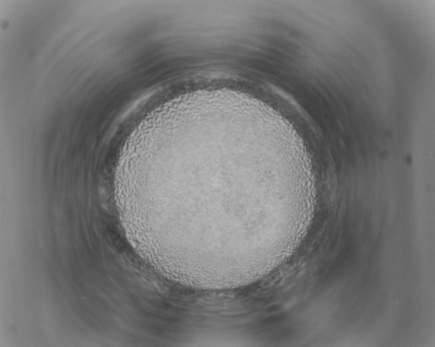 X0000068730823200605262023