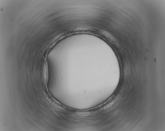 X0000068730825200605262023